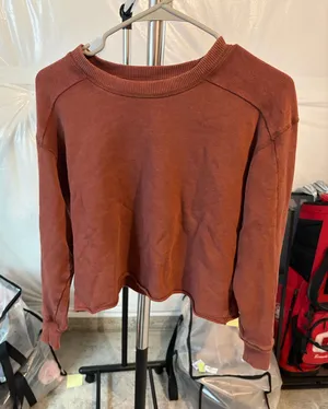 Aerie Cropped Crewneck Sweatshirt thumbnail 1