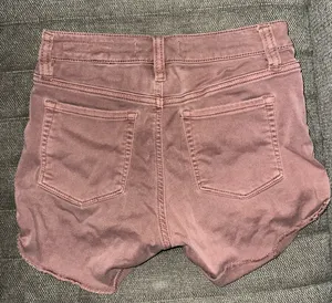 PacSun Shorts thumbnail 2