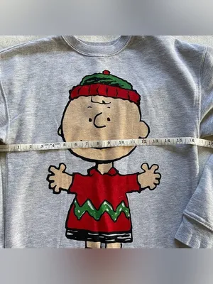 Peanuts Christmas Charlie Brown Gray Sweater size XS thumbnail 10
