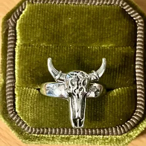 Bull Skull Ring Silver Longhorn Titanium Steel Silver Ring Size 6 thumbnail 2