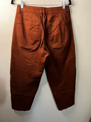 Everlane Utility Barrel Pants Rosewood Terracotta High Rise Wide Cropped Pants thumbnail 8