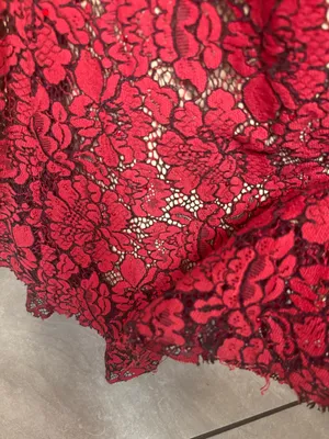 Ellie Wilde mon Cheri red and tan lace gown size 4 thumbnail 10