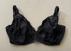 Liz & Co. Lace Unlined Bra thumbnail 1