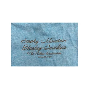 Harley-Davidson Smoky Mountain Blue Winged Logo Graphic Tee Med Biker Y2K thumbnail 3