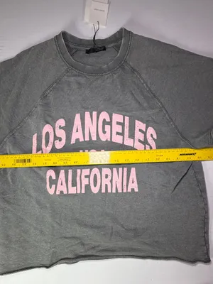 Zara Gray Graphic Tee with Pink Los Angeles Print thumbnail 4