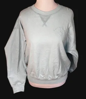 American Eagle Outfitters light blue sweatshirt with embroidered daisy design. Size - S thumbnail 1
