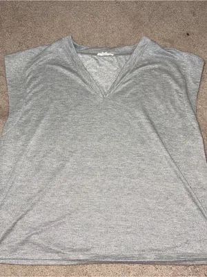 Light Gray V thumbnail 1