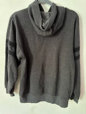 Champion Grey Striped Hoodie thumbnail 3