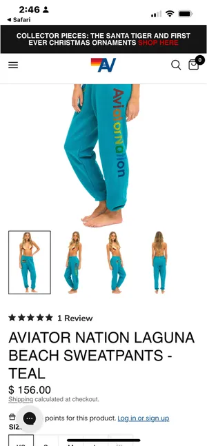 Aviator Nation Sweatpants teal XS thumbnail 8