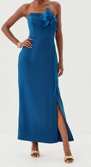 Lilly Pulitzer Anasophia Strapless Corset Maxi Dress Floral Applique Blue 14 thumbnail 1