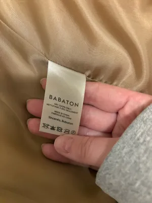 Babaton Aritzia Blazer thumbnail 3