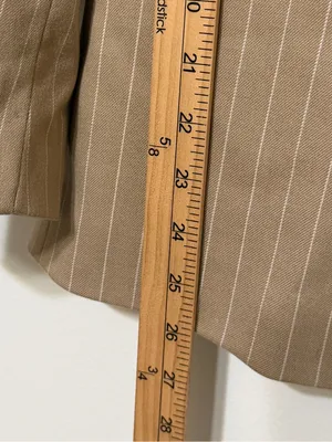 Zara Pinstripe Blazer Size Medium Women’s Tan Blogger Fav thumbnail 10