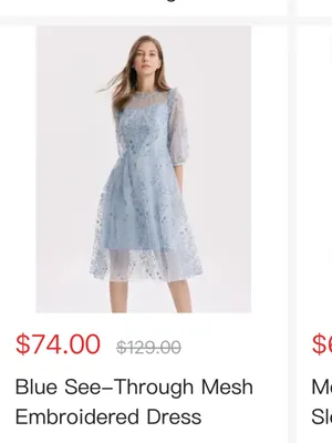 NWT Goelia Blue See-Through Mess Embroidered Dress Size 4 (Small) thumbnail 2