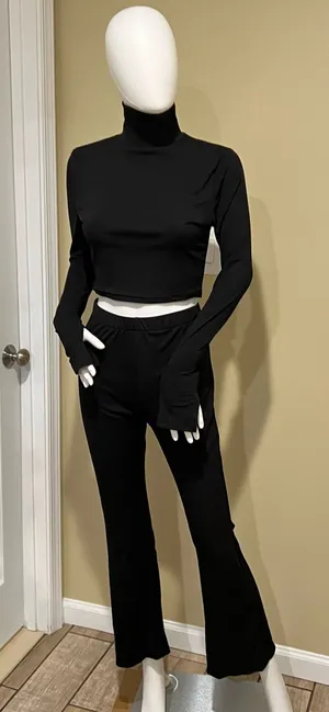 Knit Two Pieces Set Crop Top Mock Neck Blouse High Waist Flare Pants High Rise thumbnail 1