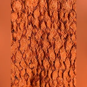 NWT Free People Adella Cami XS Winding Roads Rust Lace Peplum Top thumbnail 9