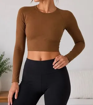 OFFLINE by Aerie Crop Top Size S Brown Long Sleeve Seamless Workout Top thumbnail 1
