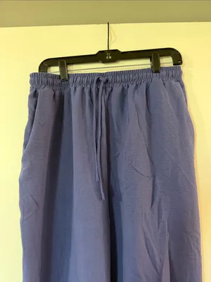 Double Zero Wide Leg Pants in Periwinkle Blue thumbnail 2