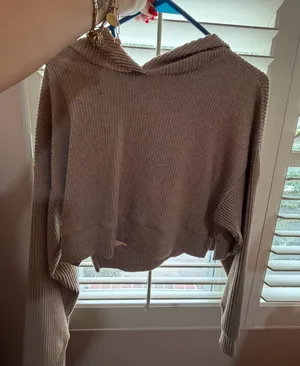 Alo Yoga Tan Cropped Hoodie thumbnail 1