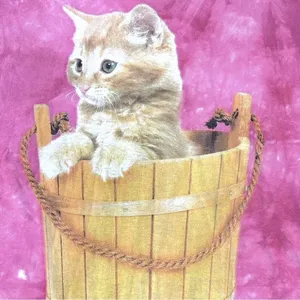Vintage The Mountain Pink Tie Dye Cat Wooden Basket Tee T-Shirt AOP Large Kitten thumbnail 4