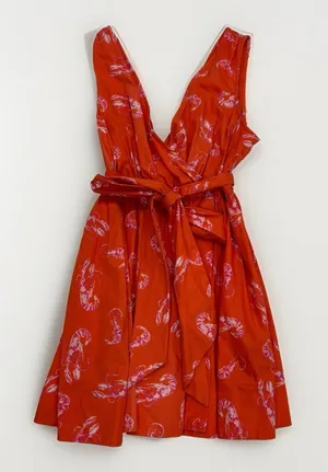 Anthropologie Maeve Wrap Dress Size Medium Petite Mainely Lobster Mini Coastal Summer Boho thumbnail 1