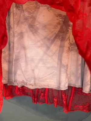 Women L Red Lace Corset Dress Bell Sleeve Y2K Romantic Goth Coquette Festival thumbnail 5