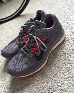 Nike Zoom Winflo 5 Shoes thumbnail 1
