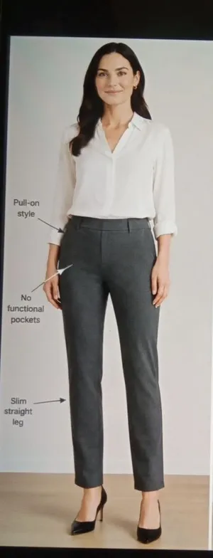 Quince Pull On Ponte Stretchy Office Work Business Gray Womens Pants Size Small thumbnail 1