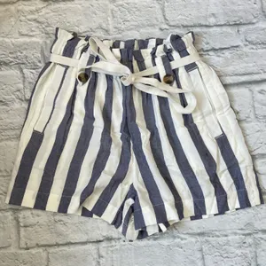American Eagle Paper Bag Stripe Shorts thumbnail 1