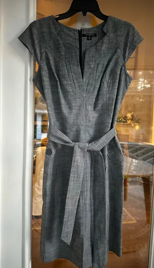 Sharagano Collared Dress thumbnail 1