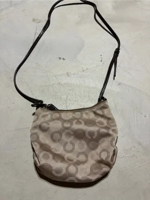 Coach Signature Ashley Crossbody Bag tan thumbnail 6