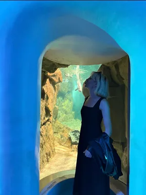 Long black dress commence thumbnail 2