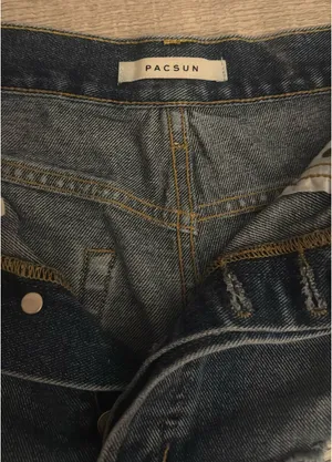 PacSun Shorts thumbnail 4