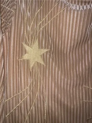 Judith March Onyx Starlet Dress tan Velvet Shooting Star Mini 70’s Boho Small thumbnail 3