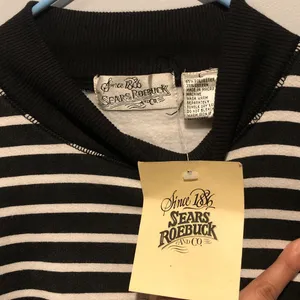Vintage Sears Roebuck and Co. Striped Crewneck Sweater thumbnail 2