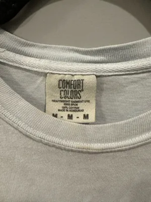 Comfort Colors UNG Phi Mu Big Little Reveal 2019 Tee thumbnail 4