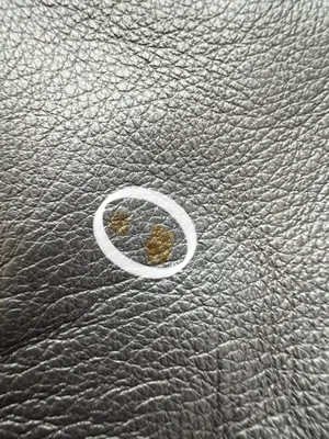 Coach | ladies Kelsey crossbody satchel handbag. thumbnail 19