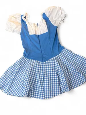 Sexy Dorothy Costume thumbnail 3