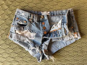 One x Teaspoon Bandit Shorts thumbnail 3