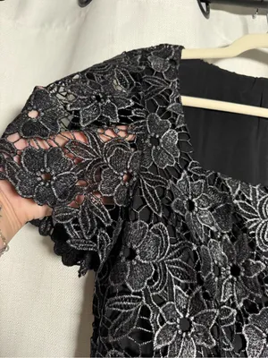 Eliza J Petite Black and Silver Square Neck Lace Fit and Flare Dress Size 10 P thumbnail 11