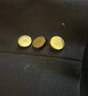 Blazer thumbnail 3