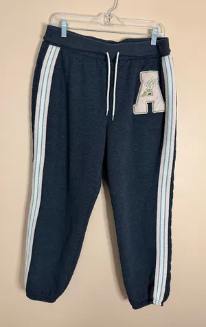 No Boundaries Navy Joggers with White and Light Blue Side Stripes thumbnail 1