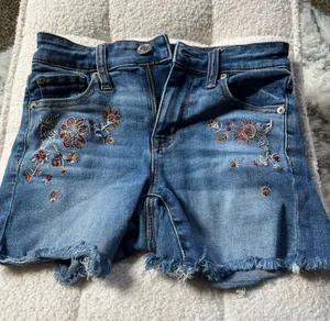 American Eagle Outfitters Embroidered Jean Shorts thumbnail 1