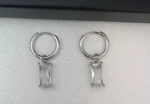 Zircon Dangle Drop Earrings for Men Women Streetwear Hip Hop Unisex Style thumbnail 3