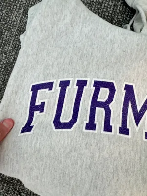 Champion College Hoodie thumbnail 2
