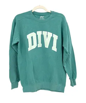 Divi Collegiate Crewneck Sweatshirt Comfort Colors Seafoam Green Size Small thumbnail 1