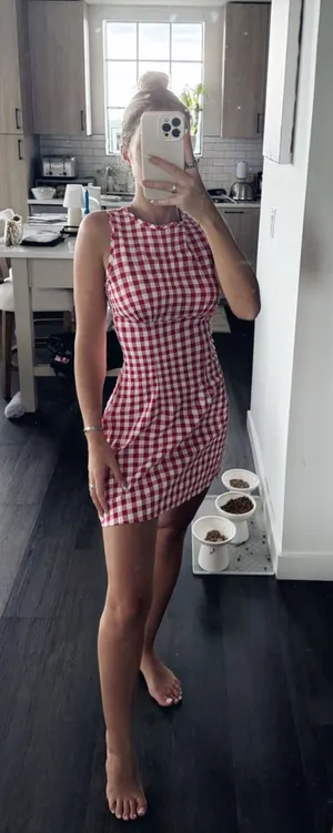 SHEIN Red and White Gingham Sleeveless Mini Dress (Size Small) thumbnail 1