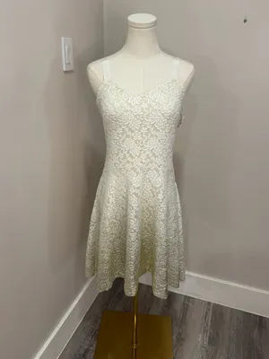 Free People Ombre Foil Lace Fit And Flare Dress White Medium NWT thumbnail 2