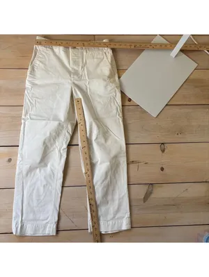 Everlane EUC Women's Off White Straight Cropped Chino Pants Size 2 thumbnail 5
