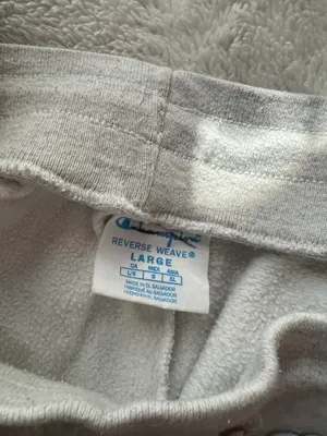 Champion Shorts thumbnail 2