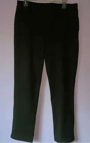 Quince Size L Ultra Stretch Ponte Dark Green Pull On Trouser Pants thumbnail 1